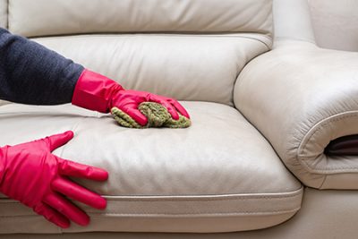 Technician performing upholstery cleaning on a sofa in Lincoln