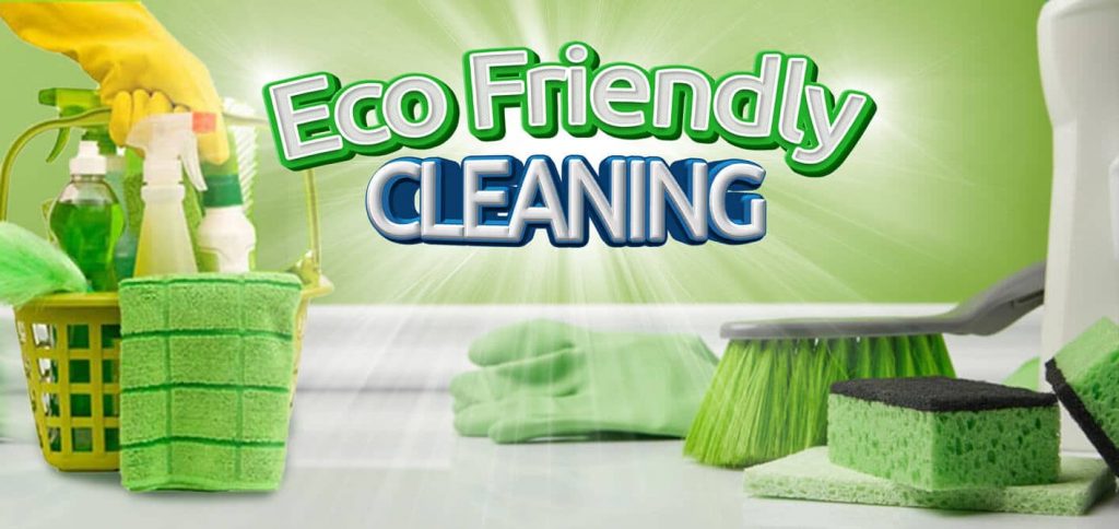 Environment Eco Safe and Friendly Cleaning Services